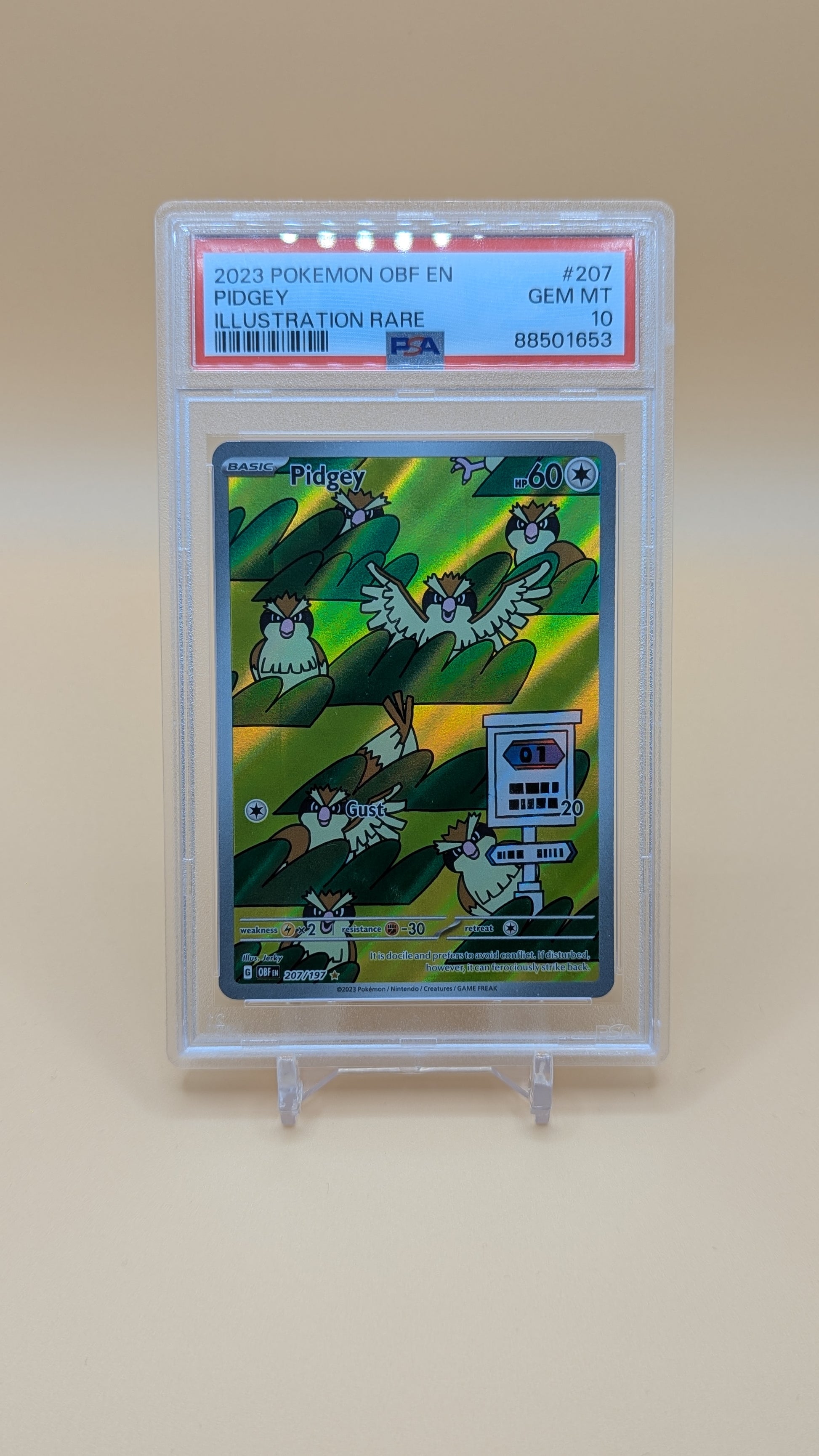 2023 Pokemon OBF EN Pidgey IR - PSA - 10